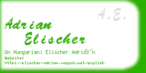 adrian elischer business card